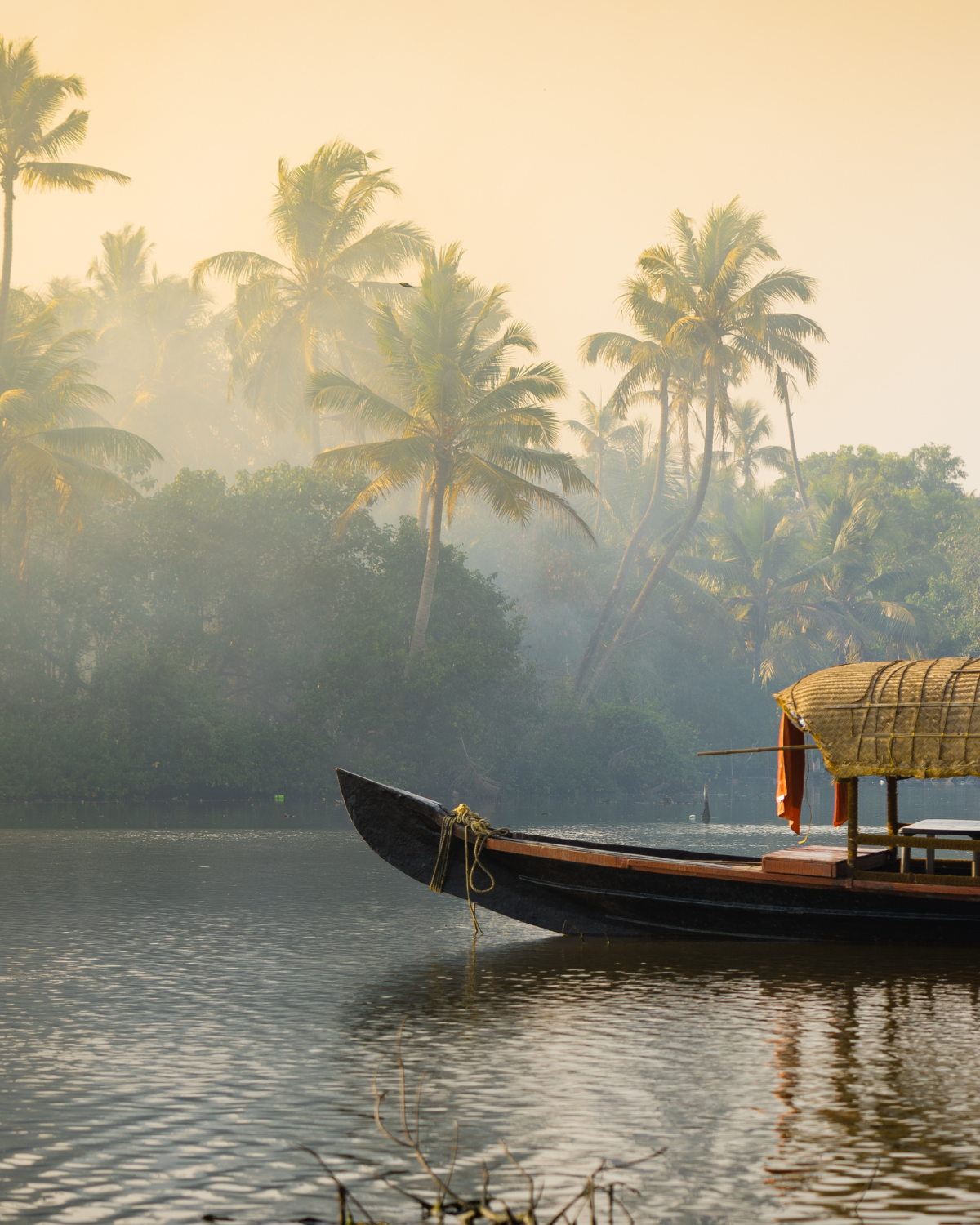 Haven for Healing The Silent Heartache of High Achievers Kerala, India 14-24th January 2026 (10-night experience)